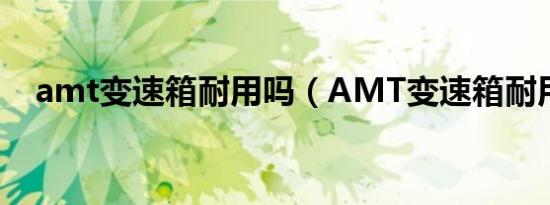 amt变速箱耐用吗（AMT变速箱耐用吗）