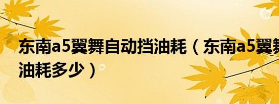 东南a5翼舞自动挡油耗（东南a5翼舞发动机油耗多少）