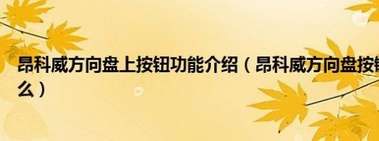 昂科威方向盘上按钮功能介绍（昂科威方向盘按键说明有什么）