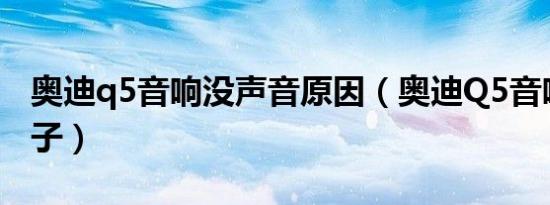 奥迪q5音响没声音原因（奥迪Q5音响什么牌子）