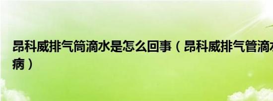 昂科威排气筒滴水是怎么回事（昂科威排气管滴水是什么毛病）