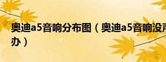 奥迪a5音响分布图（奥迪a5音响没声音怎么办）