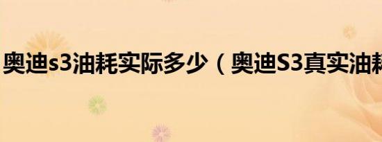 奥迪s3油耗实际多少（奥迪S3真实油耗多少）