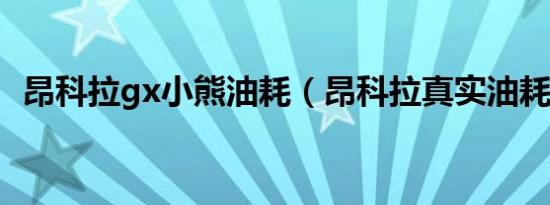 昂科拉gx小熊油耗（昂科拉真实油耗多少）