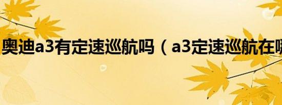 奥迪a3有定速巡航吗（a3定速巡航在哪里开）