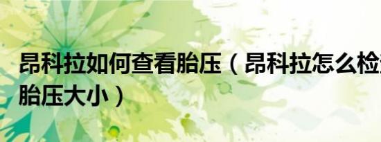 昂科拉如何查看胎压（昂科拉怎么检查轮胎的胎压大小）
