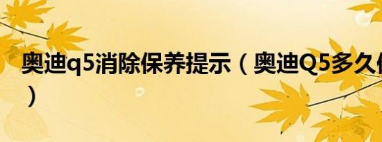 奥迪q5消除保养提示（奥迪Q5多久保养一次）