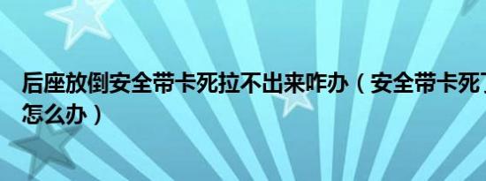 后座放倒安全带卡死拉不出来咋办（安全带卡死了拉不出来怎么办）