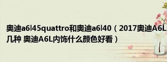 奥迪a6l45quattro和奥迪a6l40（2017奥迪A6L内饰颜色有几种 奥迪A6L内饰什么颜色好看）