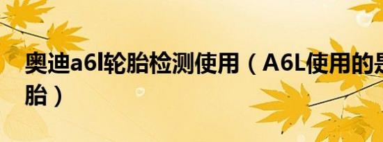 奥迪a6l轮胎检测使用（A6L使用的是什么轮胎）