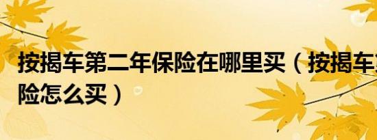 按揭车第二年保险在哪里买（按揭车第二年保险怎么买）