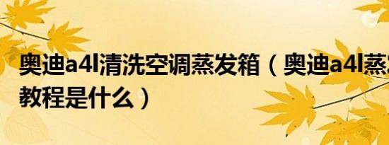 奥迪a4l清洗空调蒸发箱（奥迪a4l蒸发箱清洗教程是什么）