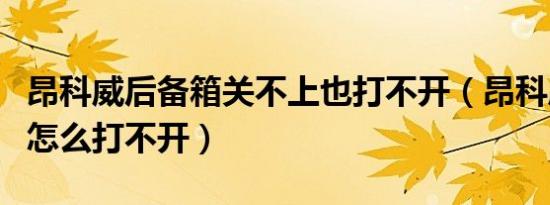 昂科威后备箱关不上也打不开（昂科威后备箱怎么打不开）
