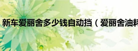 新车爱丽舍多少钱自动挡（爱丽舍油耗大吗）