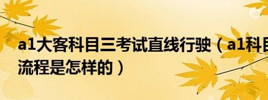 a1大客科目三考试直线行驶（a1科目三考试流程是怎样的）