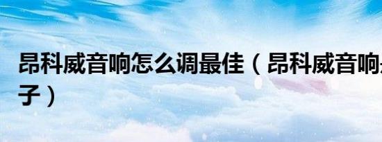 昂科威音响怎么调最佳（昂科威音响是什么牌子）