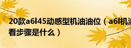 20款a6l45动感型机油油位（a6l机油油位查看步骤是什么）