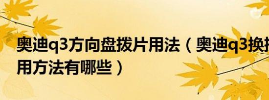 奥迪q3方向盘拨片用法（奥迪q3换挡拨片使用方法有哪些）