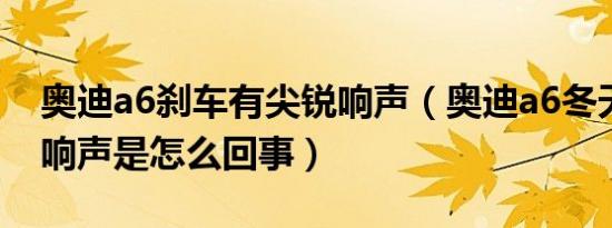奥迪a6刹车有尖锐响声（奥迪a6冬天刹车有响声是怎么回事）