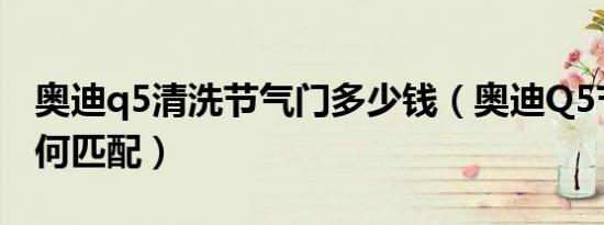 奥迪q5清洗节气门多少钱（奥迪Q5节气门如何匹配）