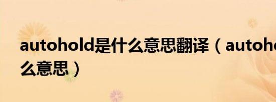 autohold是什么意思翻译（autohold是什么意思）
