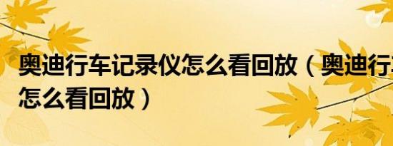 奥迪行车记录仪怎么看回放（奥迪行车记录仪怎么看回放）