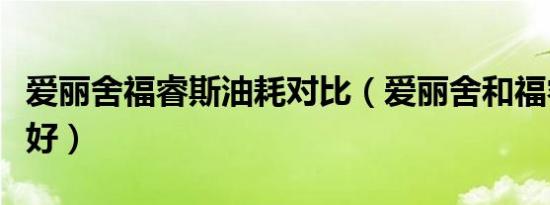 爱丽舍福睿斯油耗对比（爱丽舍和福睿斯哪个好）