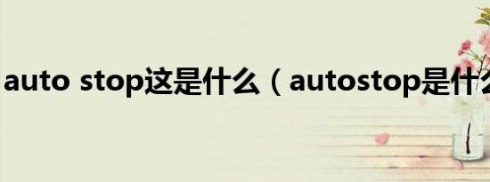auto stop这是什么（autostop是什么意思）