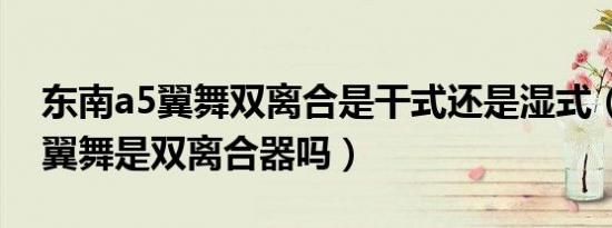 东南a5翼舞双离合是干式还是湿式（东南a5翼舞是双离合器吗）