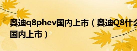 奥迪q8phev国内上市（奥迪Q8什么时候在国内上市）