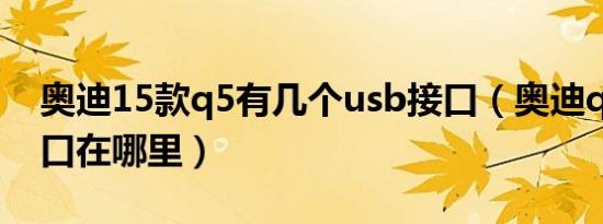 奥迪15款q5有几个usb接口（奥迪q5usb接口在哪里）