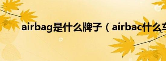 airbag是什么牌子（airbac什么车）