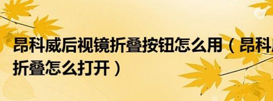 昂科威后视镜折叠按钮怎么用（昂科威后视镜折叠怎么打开）