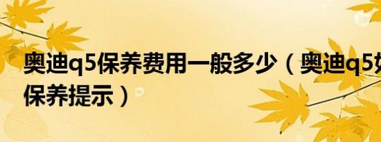 奥迪q5保养费用一般多少（奥迪q5如何消除保养提示）