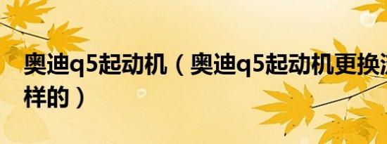 奥迪q5起动机（奥迪q5起动机更换流程是怎样的）
