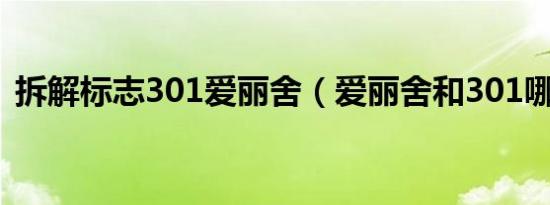 拆解标志301爱丽舍（爱丽舍和301哪个好）