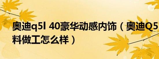奥迪q5l 40豪华动感内饰（奥迪Q5L内饰用料做工怎么样）