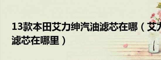 13款本田艾力绅汽油滤芯在哪（艾力绅空调滤芯在哪里）