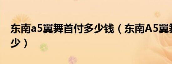 东南a5翼舞首付多少钱（东南A5翼舞首付多少）