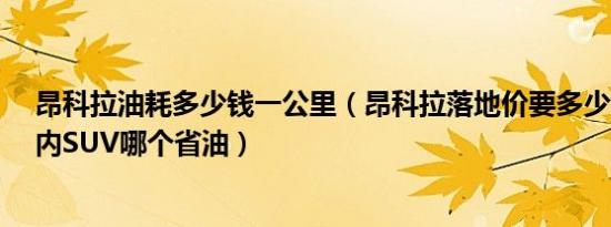 昂科拉油耗多少钱一公里（昂科拉落地价要多少钱 16万以内SUV哪个省油）