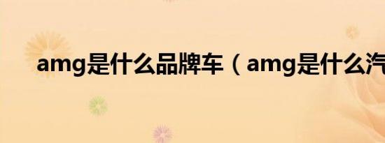 amg是什么品牌车（amg是什么汽车）