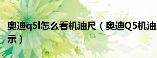 奥迪q5l怎么看机油尺（奥迪Q5机油尺怎么显示）