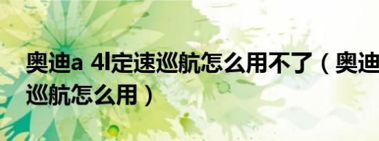 奥迪a 4l定速巡航怎么用不了（奥迪a4l定速巡航怎么用）