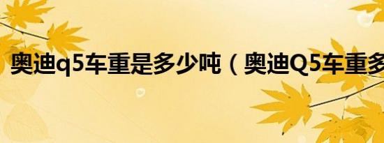 奥迪q5车重是多少吨（奥迪Q5车重多少吨）