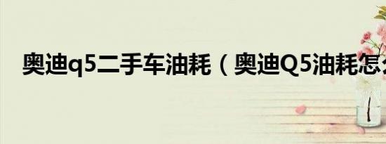 奥迪q5二手车油耗（奥迪Q5油耗怎么看）