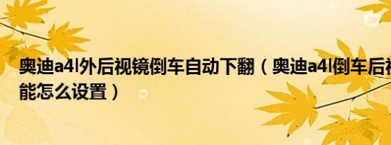 奥迪a4l外后视镜倒车自动下翻（奥迪a4l倒车后视镜下翻功能怎么设置）