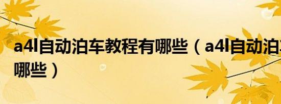 a4l自动泊车教程有哪些（a4l自动泊车教程有哪些）