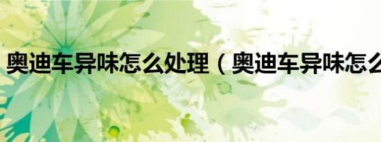 奥迪车异味怎么处理（奥迪车异味怎么处理）