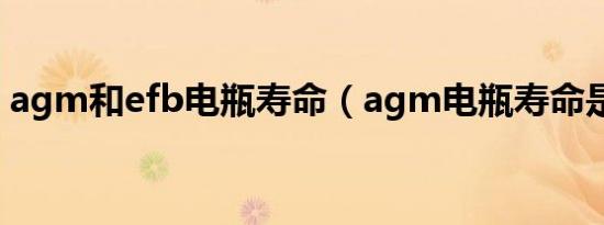 agm和efb电瓶寿命（agm电瓶寿命是多久）