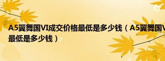 A5翼舞国VI成交价格最低是多少钱（A5翼舞国VI成交价格最低是多少钱）